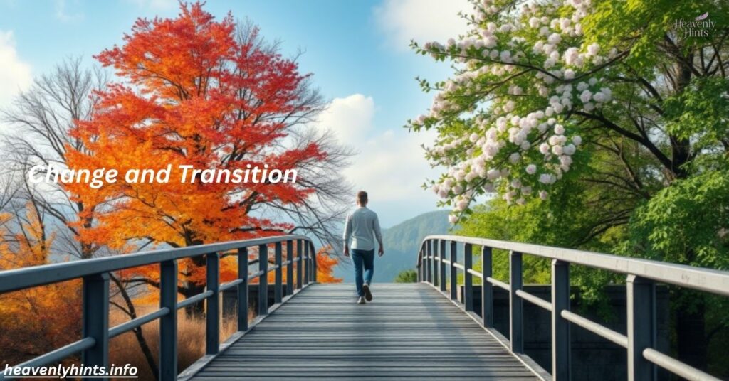 Change and Transition
