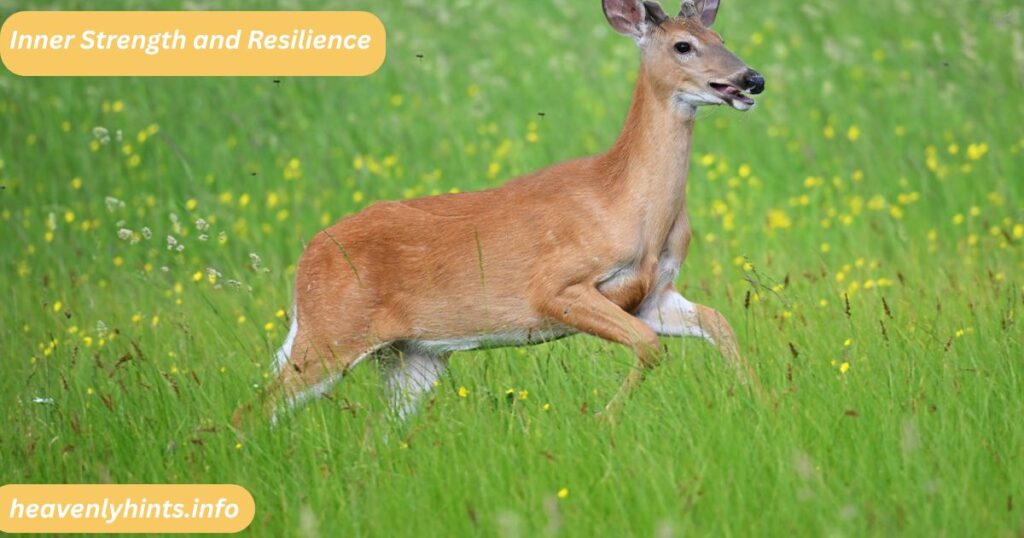 Inner Strength and Resilience