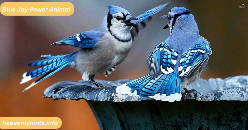 Blue Jay Power Animal