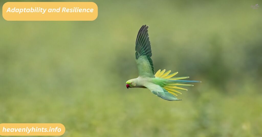 Adaptability and Resilience