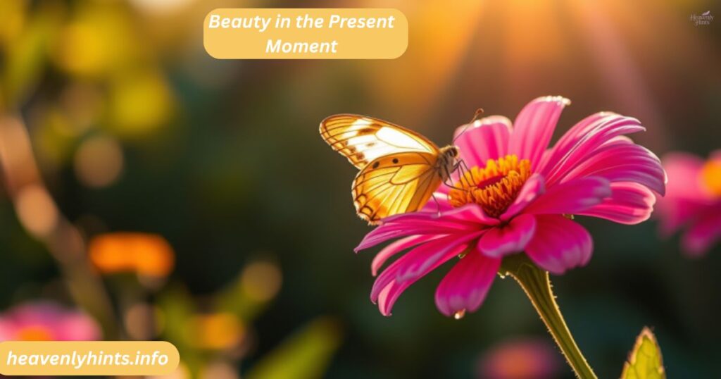 Beauty in the Present Moment