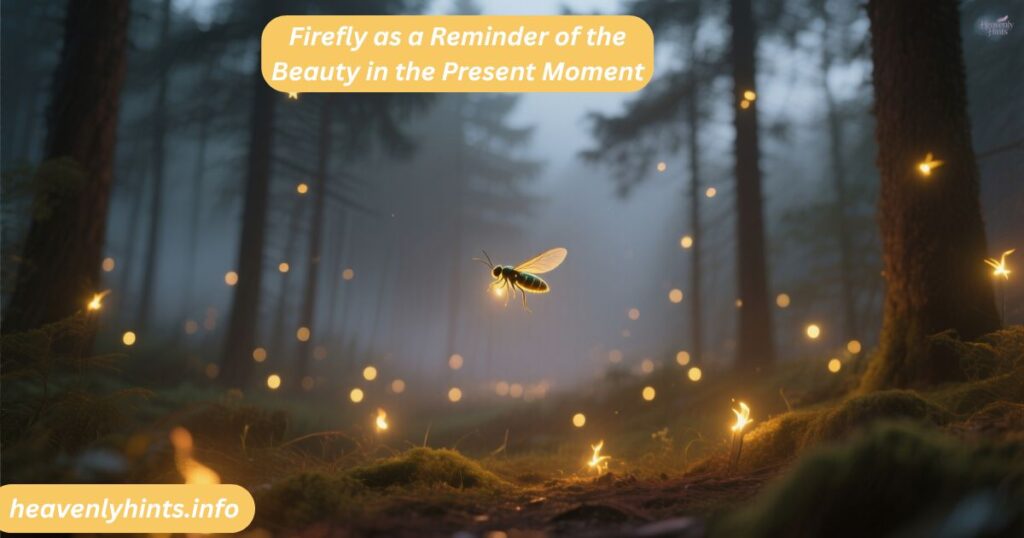 Firefly as a Reminder of the Beauty in the Present Moment