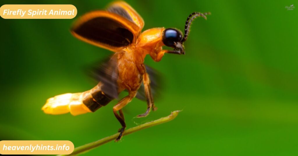 Firefly Spirit Animal
