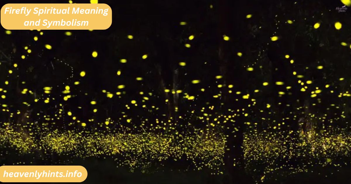 Firefly Spiritual Meaning and Symbolism