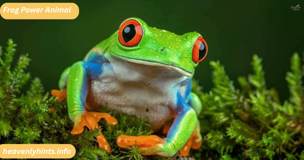 Frog Power Animal