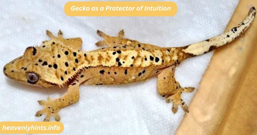 Gecko as a Protector of Intuition