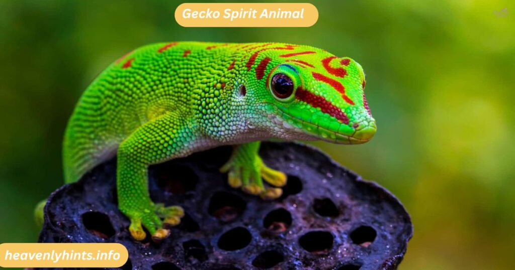 Gecko Spirit Animal