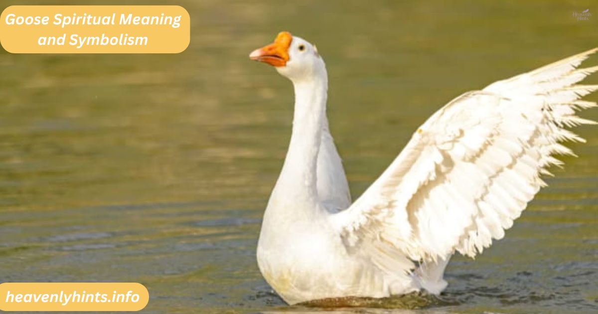 Goose Spiritual Meaning and Symbolism