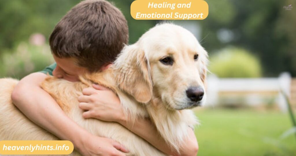 Healing and Emotional Support