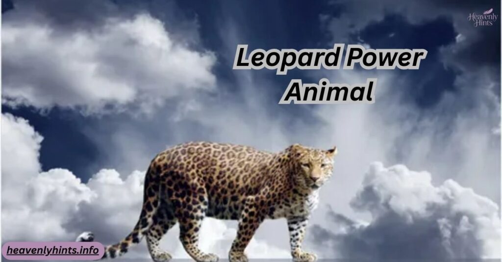 Leopard Power Animal