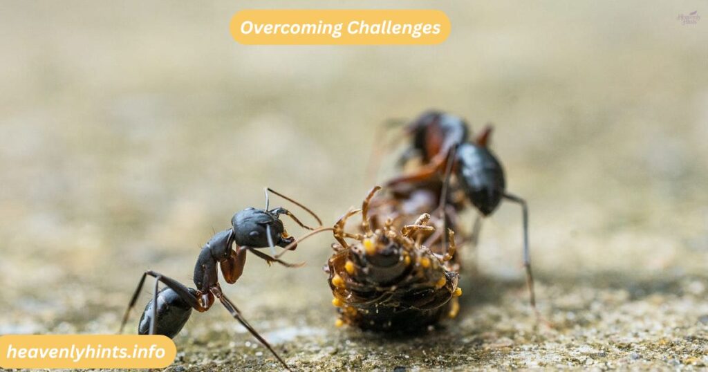 Overcoming Challenges