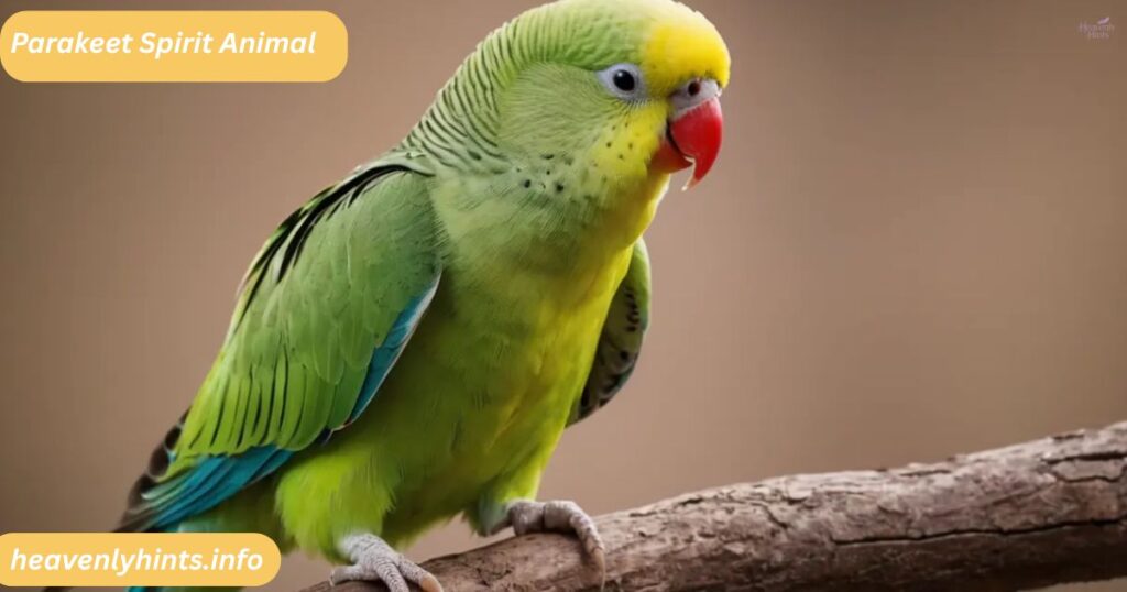 Parakeet Spirit Animal