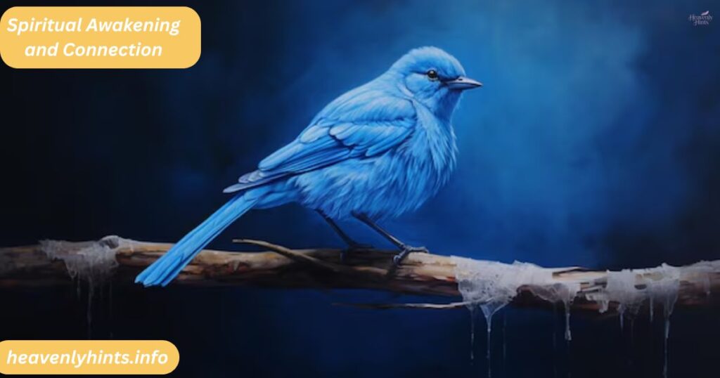 Spiritual Awakening and Connection