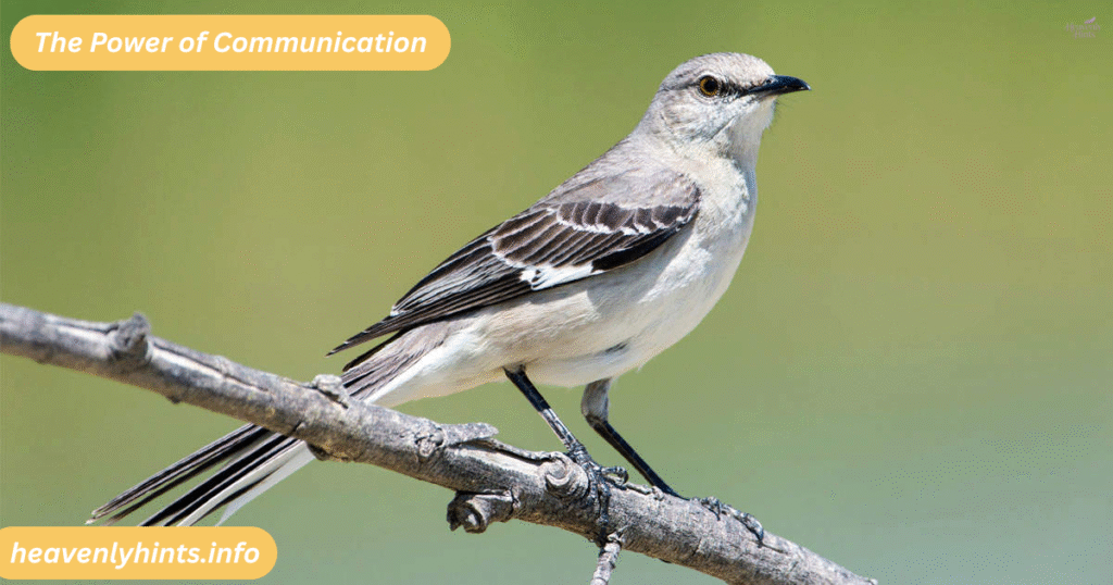 The Power of Communication