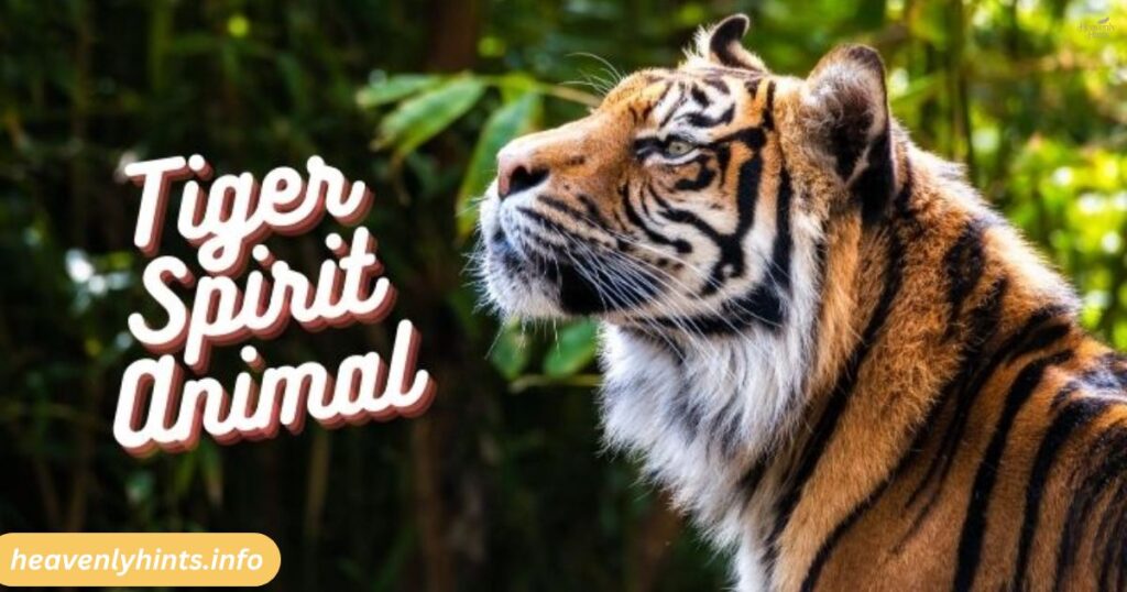 Tiger Spirit Animal