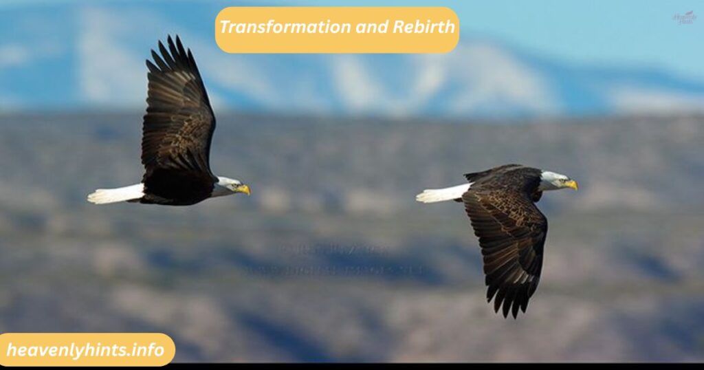 Transformation and Rebirth