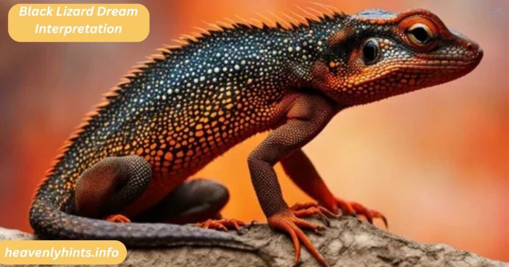 Black Lizard Dream Interpretation