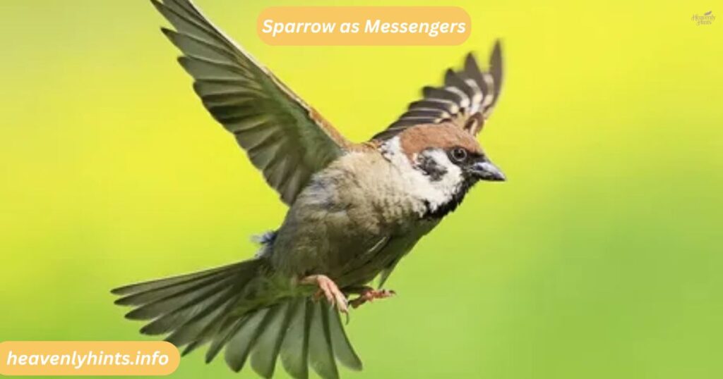 Sparrow as Messengers