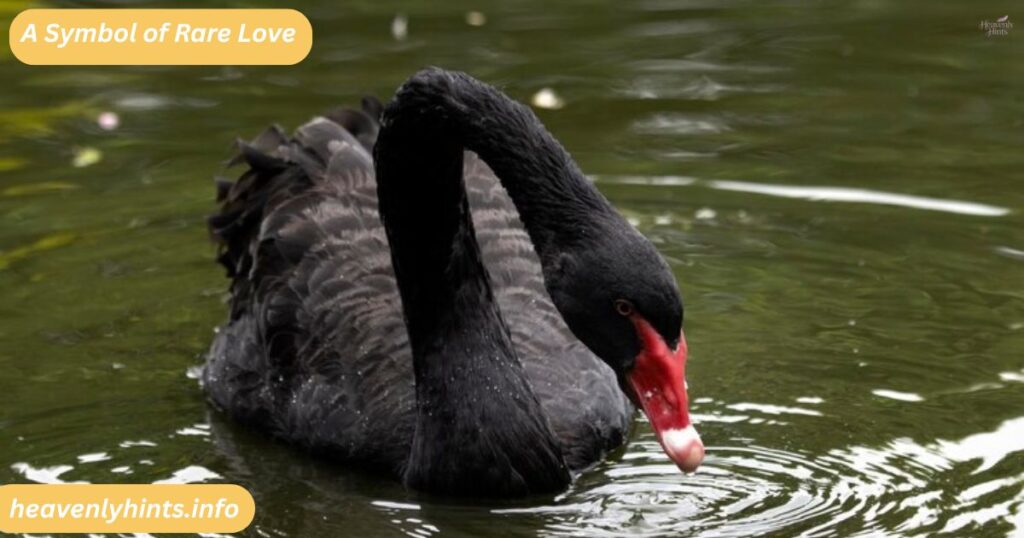A Symbol of Rare Love