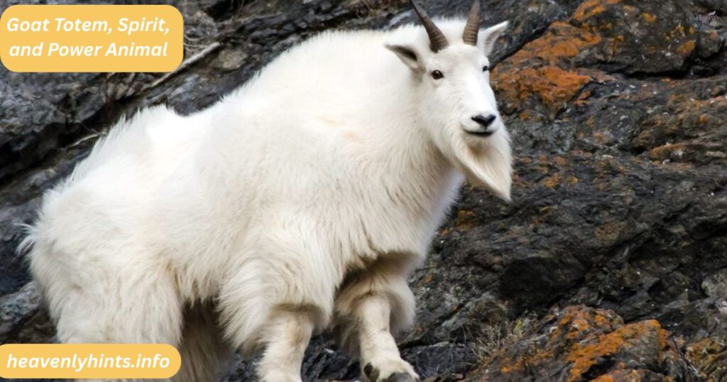 Goat Totem, Spirit, and Power Animal