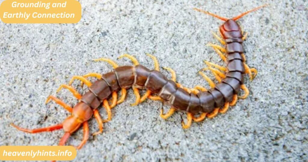 Grounding and Earthly Connection