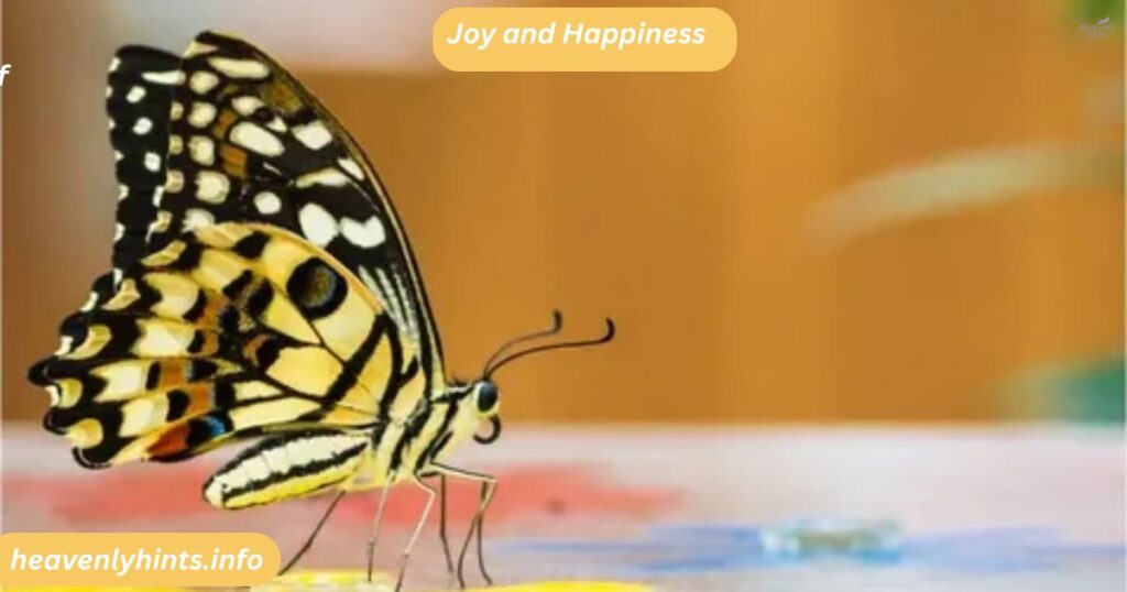 Joy and Happiness