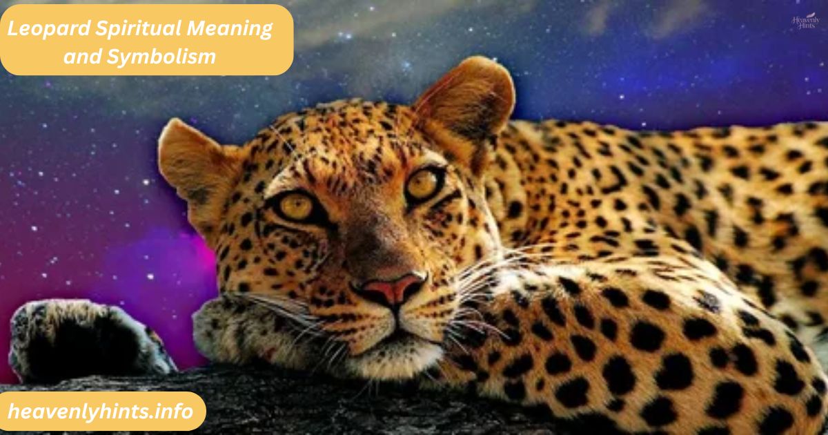 Leopard Spiritual Meaning and Symbolism