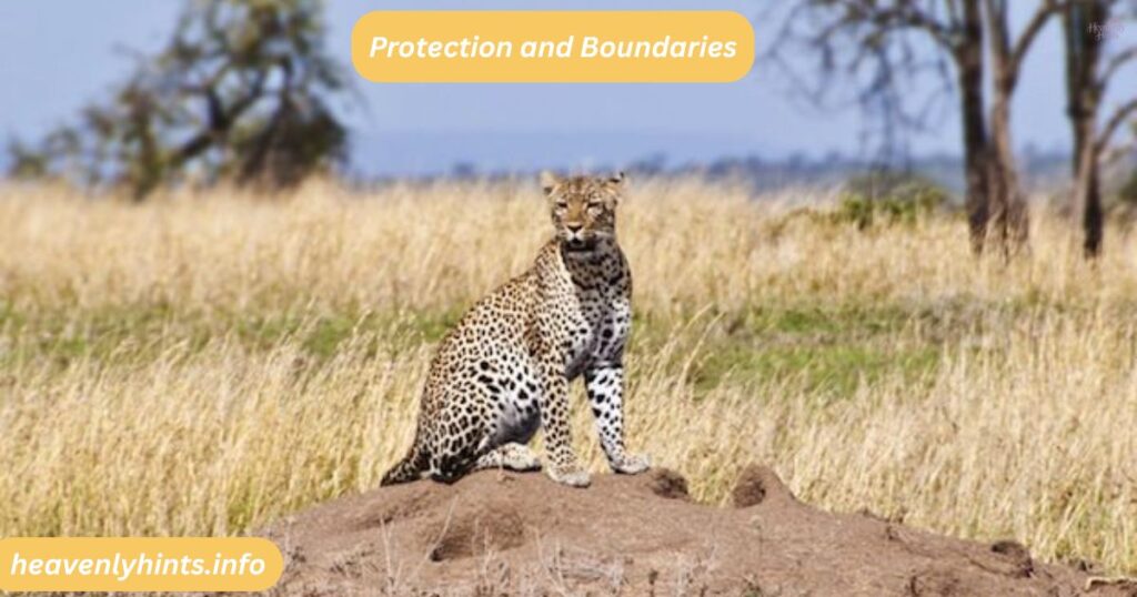 Protection and Boundaries