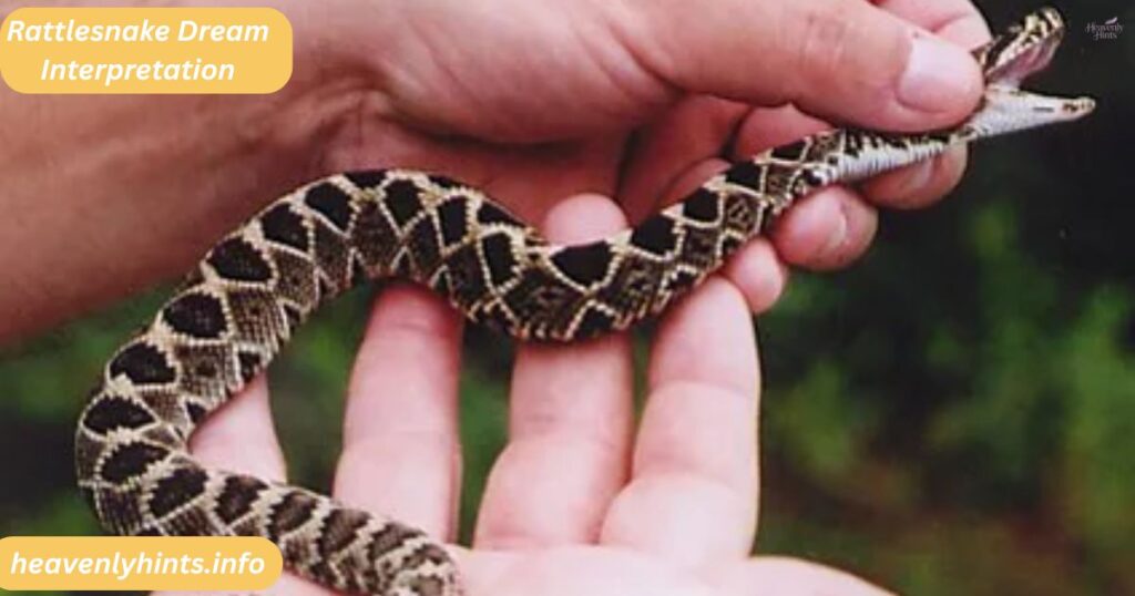 Rattlesnake Dream Interpretation