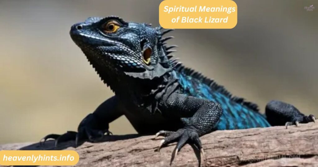 Spiritual Meanings of Black Lizard