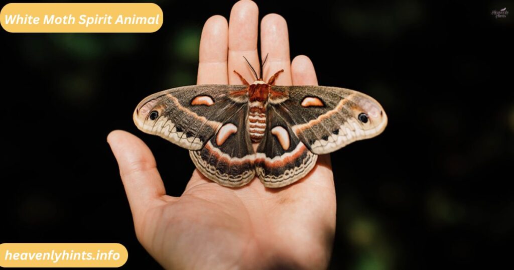White Moth Spirit Animal