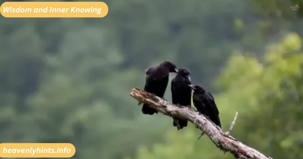 Wisdom and Inner Knowing