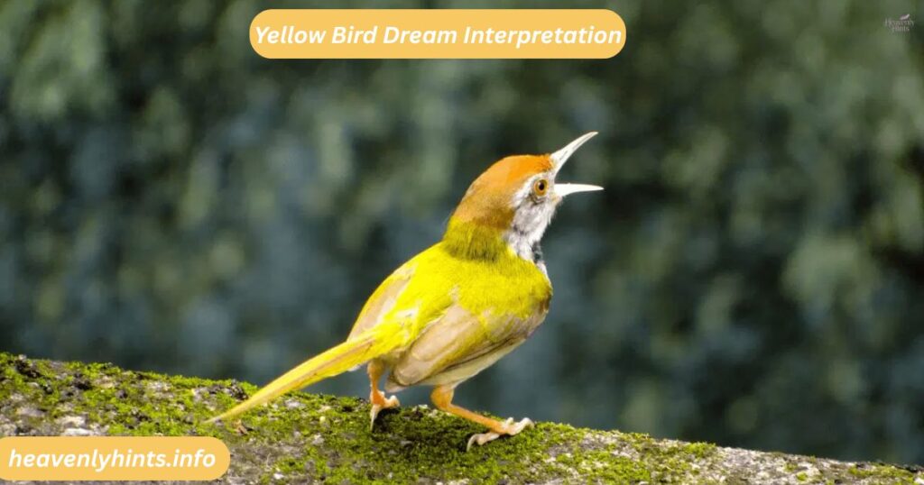 Yellow Bird Dream Interpretation