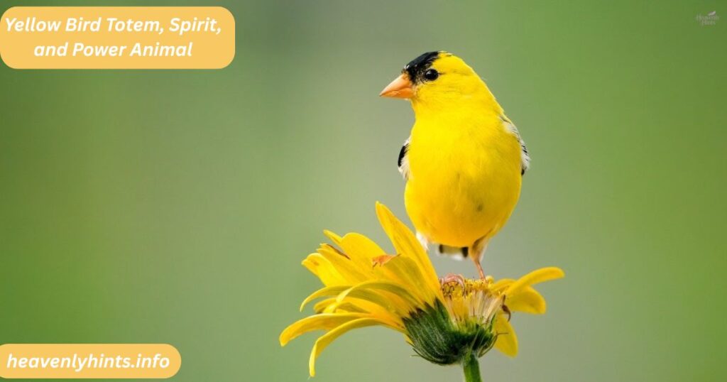 Yellow Bird Totem, Spirit, and Power Animal