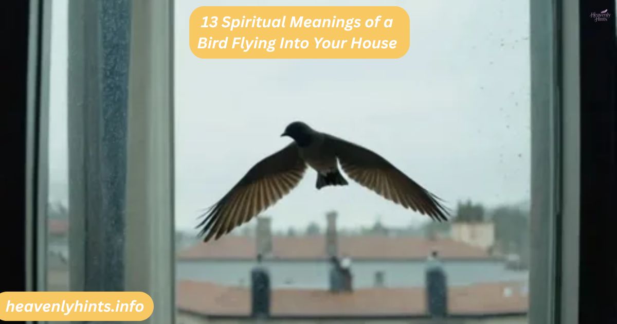 13 Spiritual Meanings of a Bird Flying Into Your House