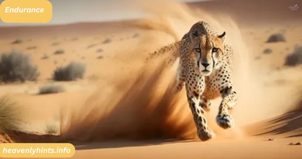 Endurance