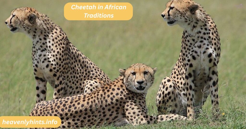 Cheetah in African Traditions