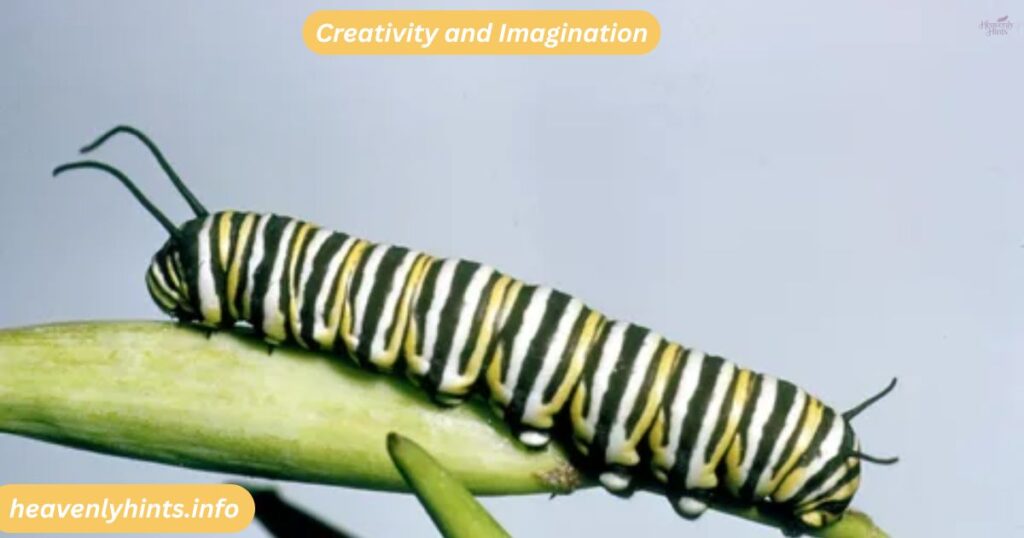 Creativity and Imagination