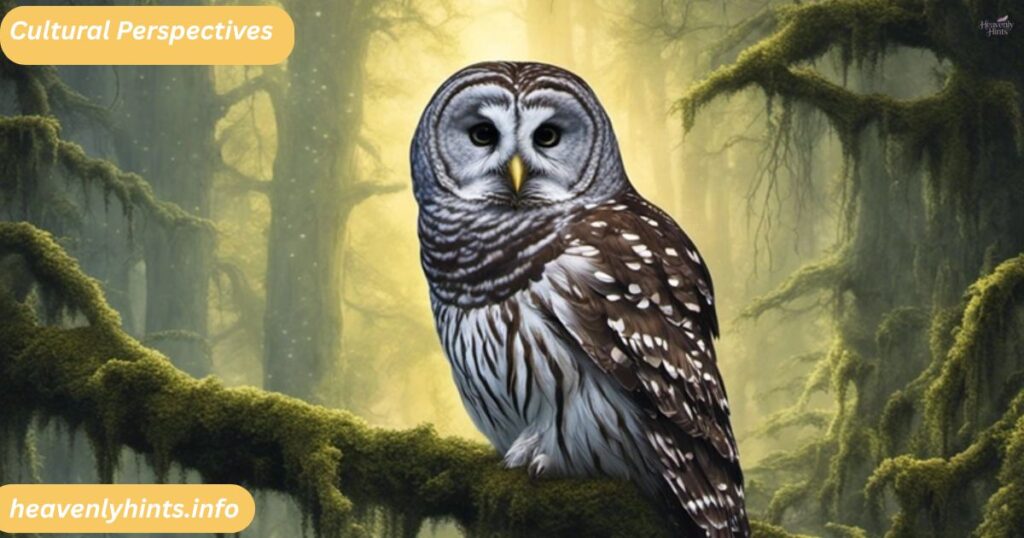 Cultural Perspectives