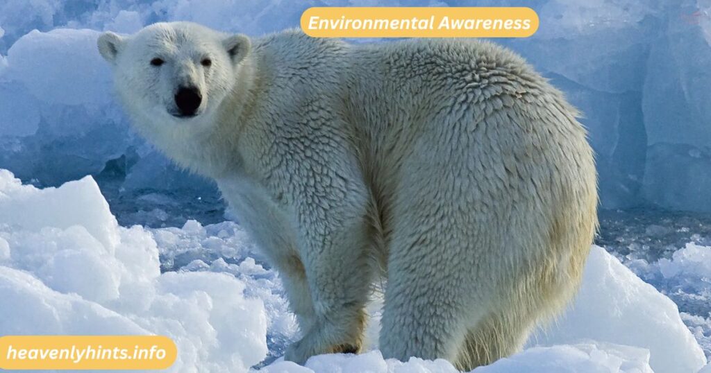 Environmental Awareness