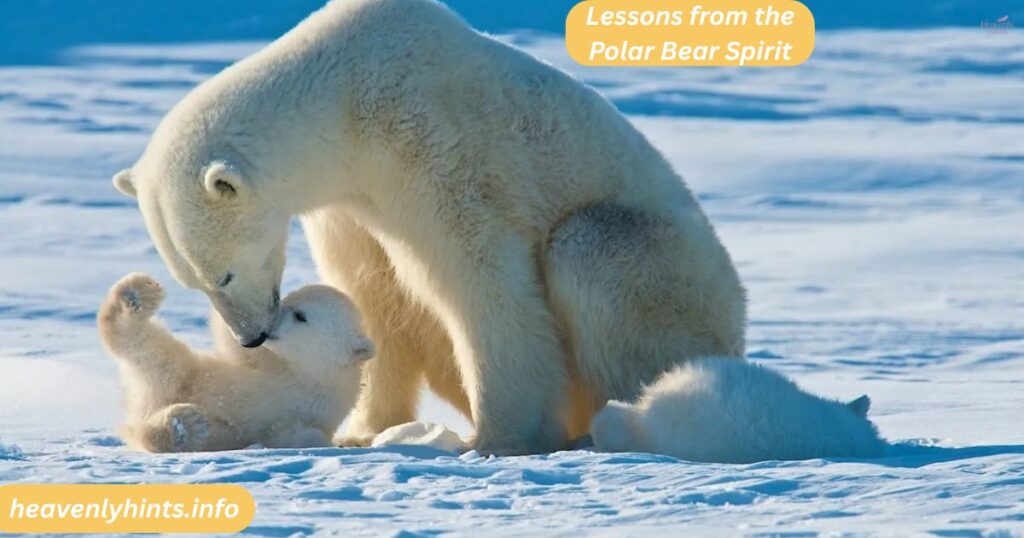 Lessons from the Polar Bear Spirit