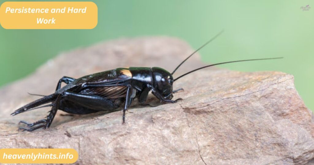 Persistence and Hard Work