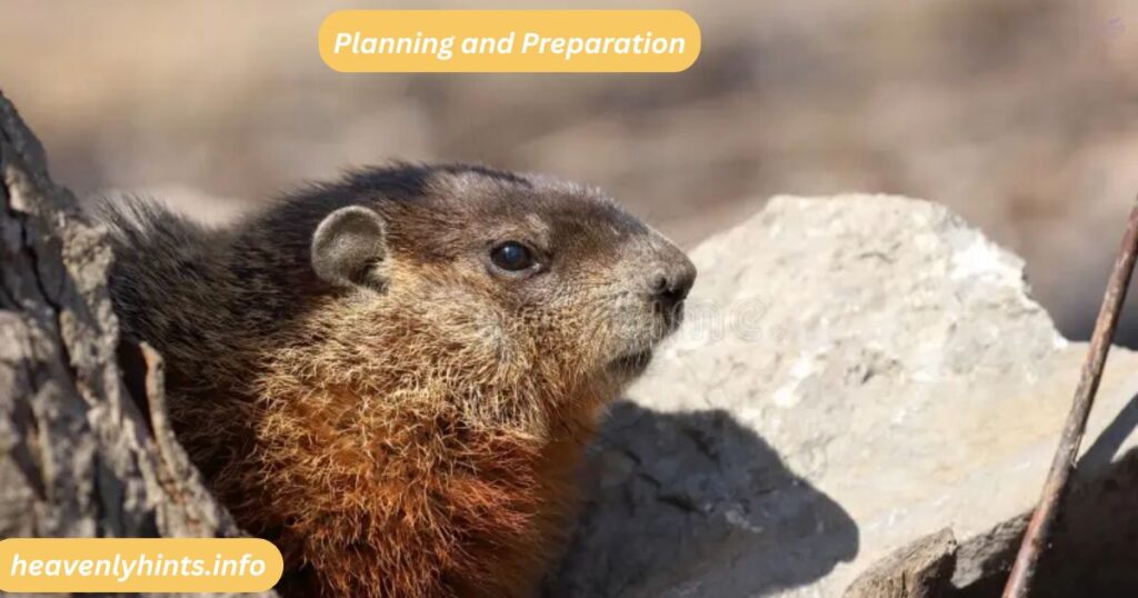 Planning and Preparation