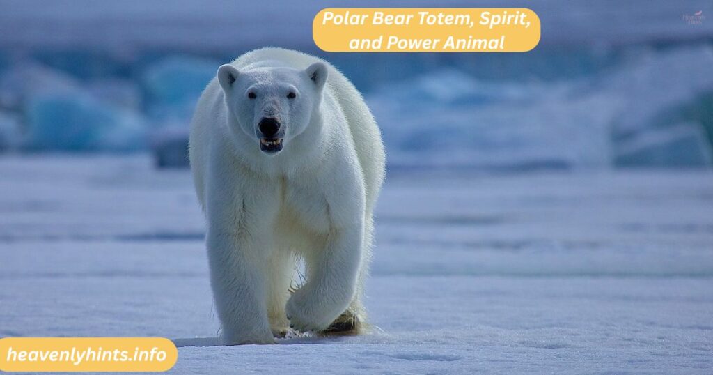 Polar Bear Totem, Spirit, and Power Animal