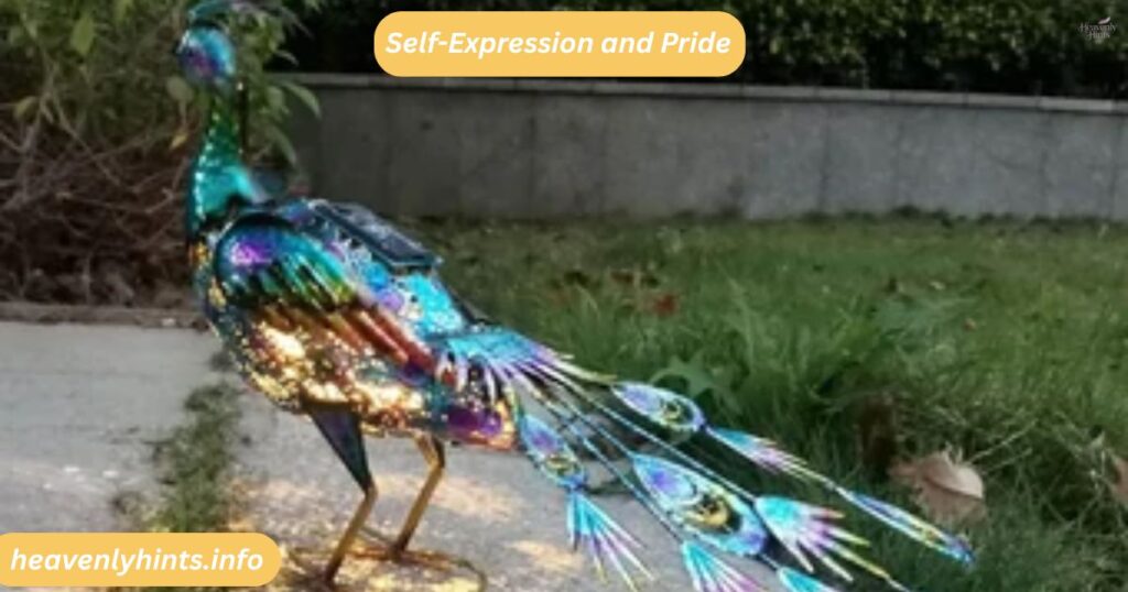 Self-Expression and Pride