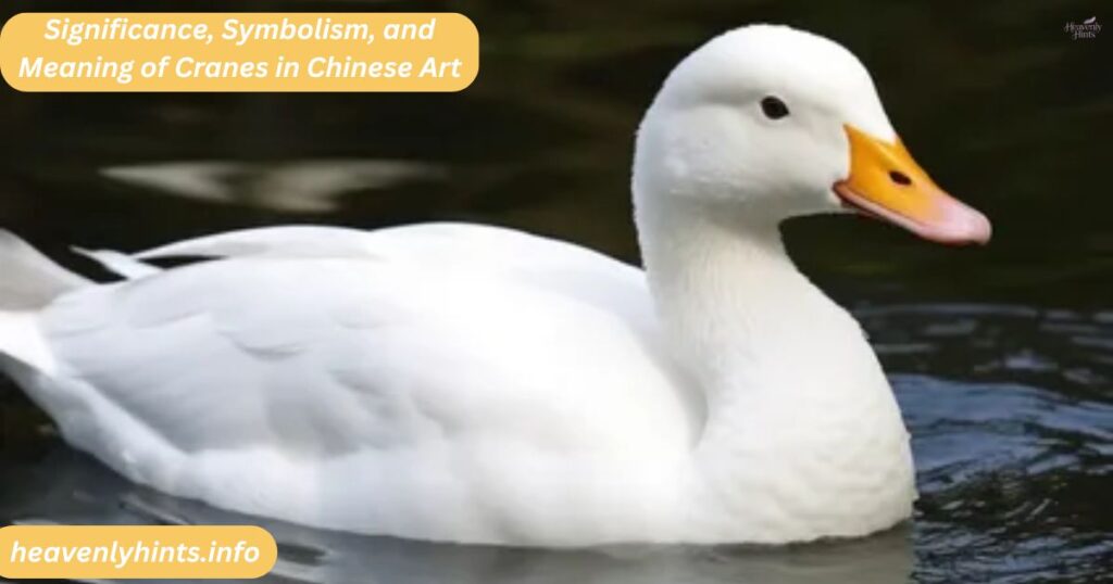 Significance, Symbolism, and Meaning of Cranes in Chinese Art