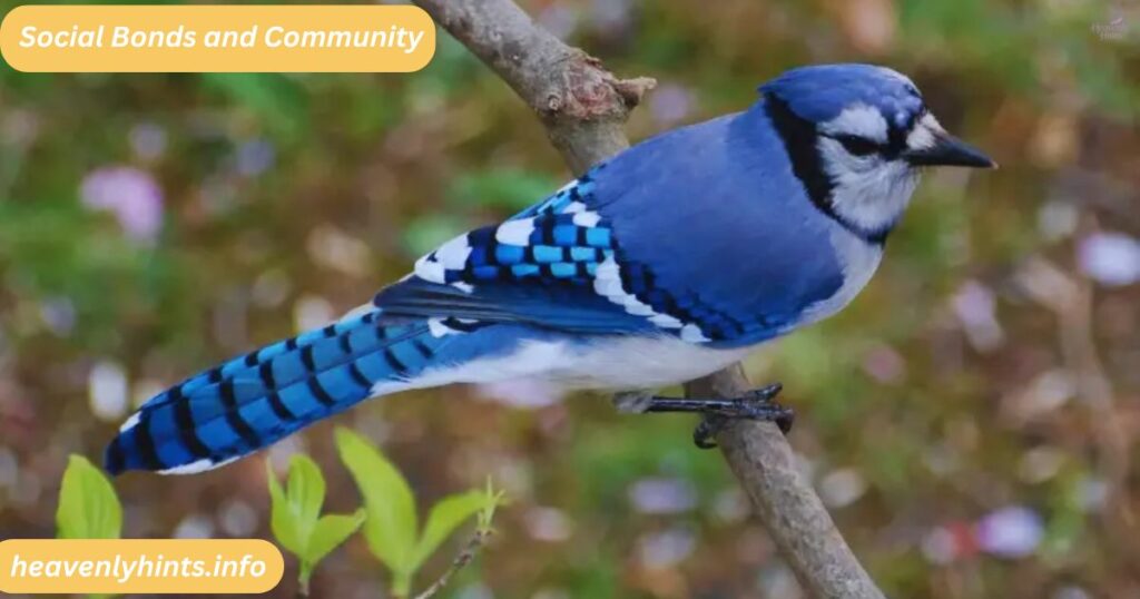  Social Bonds and Community