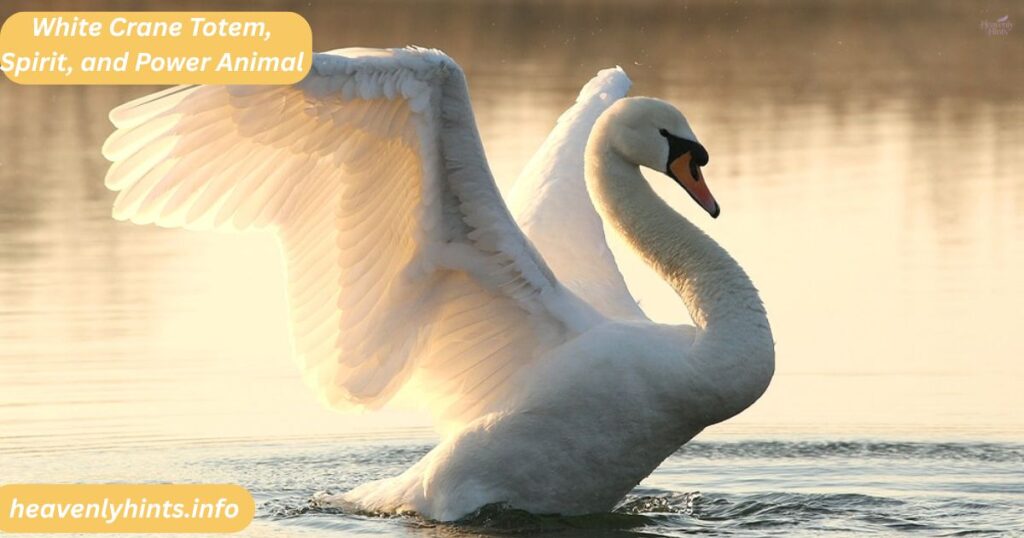 White Crane Totem, Spirit, and Power Animal